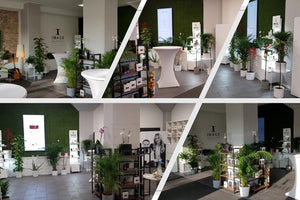 Showroom & Skincare Institute